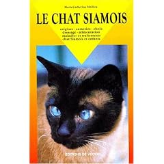 Le chat siamois