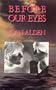 Before Our Eyes: A Novel