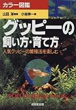 グッピーの飼い方・育て方―人気グッピーの繁殖法を楽しむ