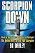 Scorpion Down: Sunk by the Soviets, Buried by the Pentagon: The Untold Story of the USS Scorpion