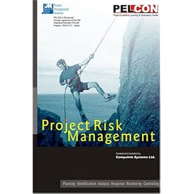 Compulink Project Risk Management