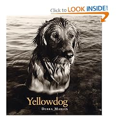Yellowdog