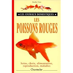 Les poissons rouges