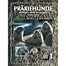 Pr�riehunde: Biologie, Haltung, Zucht