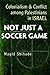 Image of Not Just a Soccer Game: Colonialism and Conflict Among Palestinians in Israel (Syracuse Studies on Peace and Conflict Resolution)