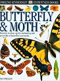 Eyewitness: Butterfly & Moth (Eyewitness Books)