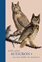 John James Audubon and <i>The Birds of America</i>: A Visionary Achievement in Ornithology Illustration (Huntington Library Classics)