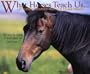 What Horses Teach Us