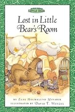 Lost in Little Bear's room