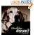 Do Old Dogs Dream?