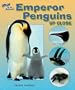 Emperor Penguins Up Close (Zoom in on Animals!)