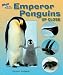 Emperor Penguins Up Close (Zoom in on Animals!)