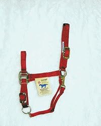 Hamilton Quality 1" Nylon Horse Halter with Adjustable Chin and Snap, Red, Large (1100-1600 lbs)