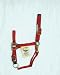 Hamilton Quality 1" Nylon Horse Halter with Adjustable Chin and Snap, Red, Large (1100-1600 lbs)