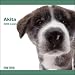 2009 Akita ARTLIST Square Wall Calendar (Multilingual Edition)