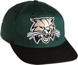 NCAA Ohio Bobcats Secondary Logo Green College Snap Back Team Hat