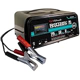 Amazon.com: Schumacher PS-2100MA DSR ProSeries 2/15/100 Amp 6/12 Volt