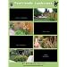 Pawfriendly Landscapes: How to Share the Turf When Your Backyard Belongs to Barney