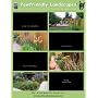 Pawfriendly Landscapes: How to Share the Turf When Your Backyard Belongs to Barney