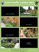 Pawfriendly Landscapes: How to Share the Turf When Your Backyard Belongs to Barney