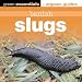 Banish Slugs