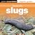 Banish Slugs: Green Essentials - Organic Guides