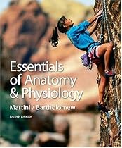 Essentials of Anatomy & Physiology