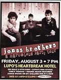 Jonas Brothers Concert Flyer Poster Providence Lupos