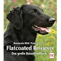 Flatcoated Retriever: Das gro�e Rassehandbuch