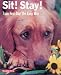 Sit! Stay! Train Your Dog the Easy Way! (Barron's Complete Pet Owner's Manuals)