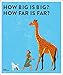 How Big is Big? How Far is Far?