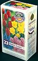 NEW! Mailbox Collection - 24 Bulbs - Spring Blooms