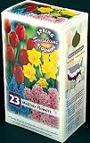 NEW! Mailbox Collection - 24 Bulbs - Spring Blooms