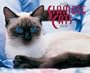 Just Siamese Cats 2005 Calendar
