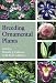 Book Breeding Ornamental Plants
