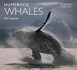 Humpback whales