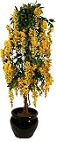 Review i-koncepts Ltd  / 5ft Wisteria with Natural Stem - Yellow - Artificial Plant