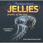 Amazing Jellies: Jewels of the Sea book cover