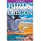 Get Started in Bird Photography