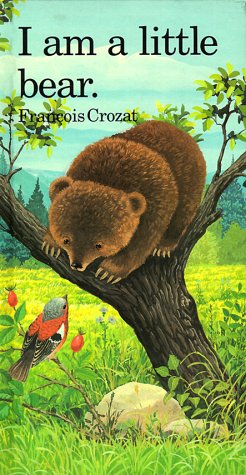 Children's Series Books