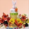 Easter Tweets ~ Bunny: Gourmet Easter Gift Pack
