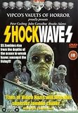 Shock Waves