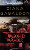 Dragonfly in Amber