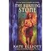 The Burning Stone (Crown of Stars)