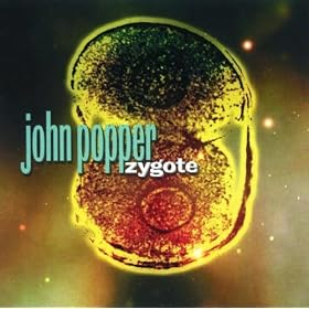 Zygote