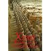 Xi'an, Shaanxi and The Terracotta Army (Second Edition)  (Odyssey Illustrated Guides)