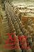 Xian, Shaanxi and The Terracotta Army, Second Edition (Odyssey Illustrated Guides)