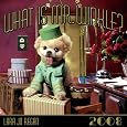 What is Mr. Winkle?  2008 wall calendar