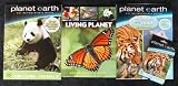All About Animals Activity Set - Coloring Book - Flash Cards - Quiz Book - Textbook