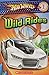 Hot Wheels Wild Rides